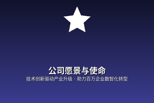 公司愿景